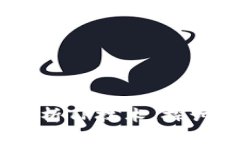 TP官方网：深入解析TP技术