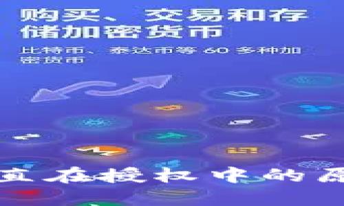 TP钱包交易一直在授权中的原因及解决方案