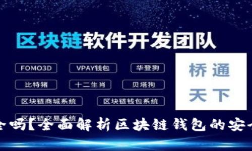 区块链钱包安全吗？全面解析区块链钱包的安全性与保护措施