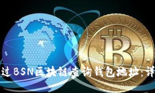 如何通过BSN区块链查询钱包地址：详尽指南