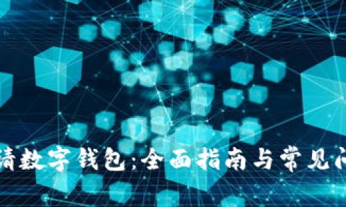如何申请数字钱包：全面指南与常见问题解析
