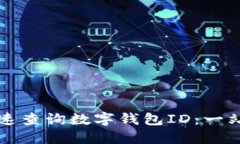 如何快速查询数字钱包I