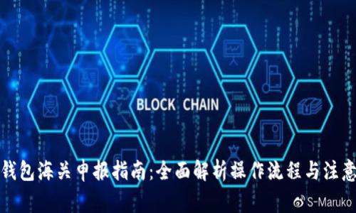 数字钱包海关申报指南：全面解析操作流程与注意事项