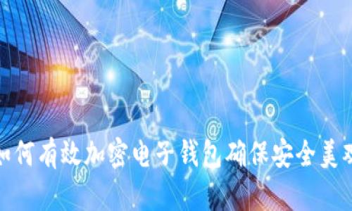 如何有效加密电子钱包确保安全美观