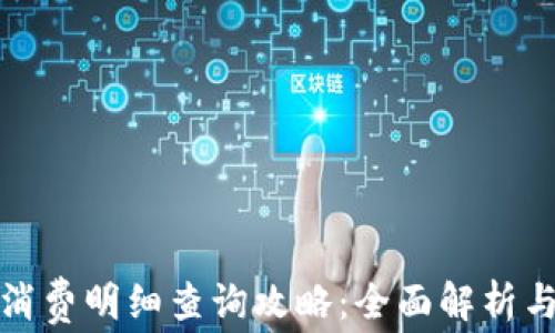 
数字钱包消费明细查询攻略：全面解析与实用技巧