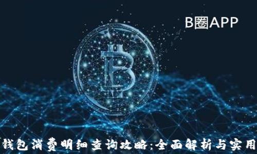 
数字钱包消费明细查询攻略：全面解析与实用技巧