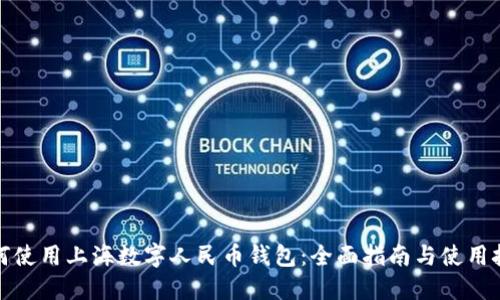 如何使用上海数字人民币钱包：全面指南与使用技巧