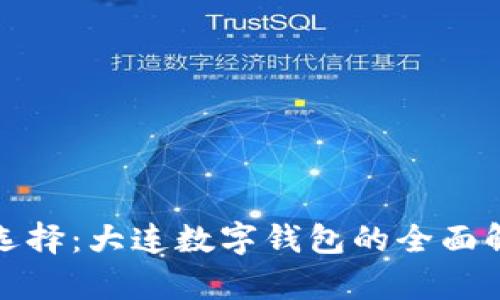 数字化生活新选择：大连数字钱包的全面解析与应用前景