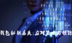 数字钱包秘钥丢失：应对