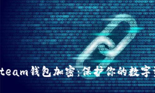 如何给Steam钱包加密：保护你的数字资产安全