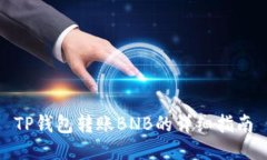 TP钱包转账BNB的详细指南