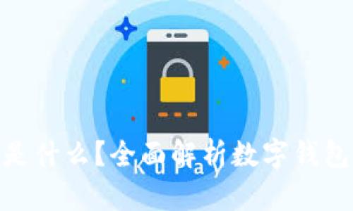 : 数字钱包存的是什么？全面解析数字钱包的功能与安全性