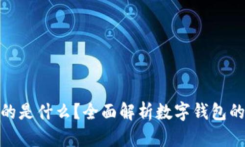 : 数字钱包存的是什么？全面解析数字钱包的功能与安全性