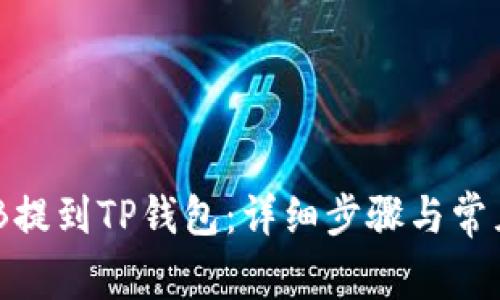 如何将BNB提到TP钱包：详细步骤与常见问题解答