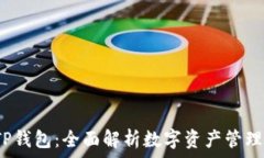   2025年TP钱包：全面解析数