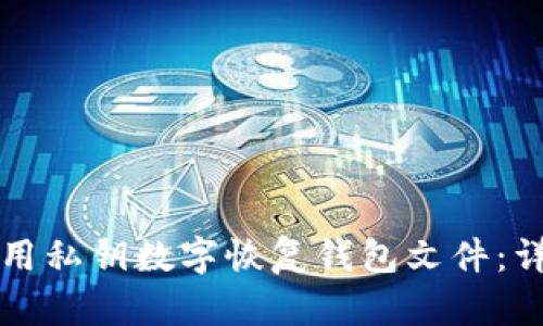 如何利用私钥数字恢复钱包文件：详尽指南