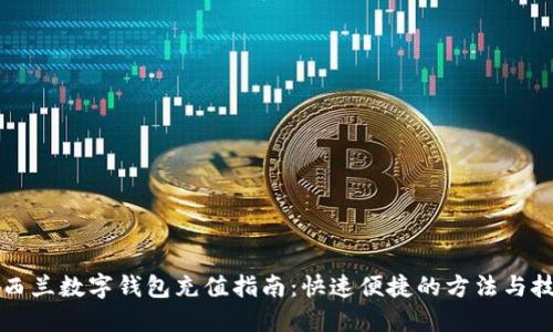 新西兰数字钱包充值指南：快速便捷的方法与技巧