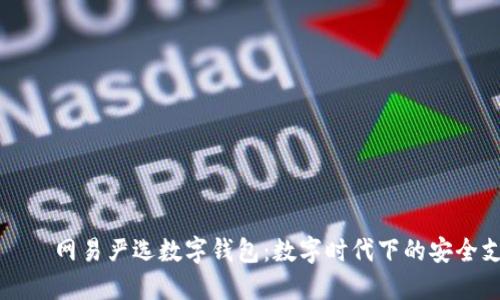 ایناطی网易严选数字钱包：数字时代下的安全支付新选择