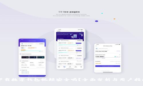 下载数字钱包视频安全吗？全面分析与用户指南