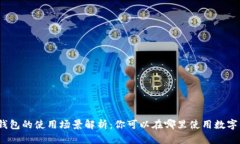 数字钱包的使用场景解析
