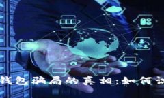 揭开加密钱包骗局的真相