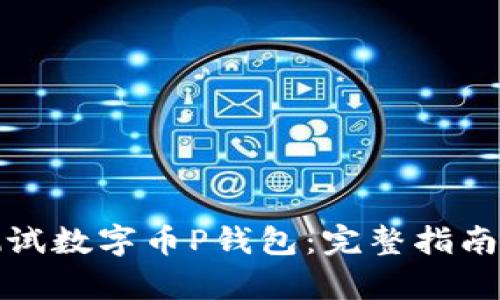 如何有效测试数字币P钱包：完整指南与实用技巧