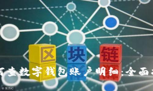 如何查数字钱包账户明细：全面指南