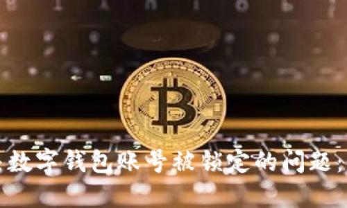 如何解决数字钱包账号被锁定的问题：全面指南