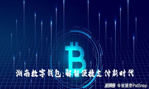 湖南数字钱包：解锁便捷支付新时代