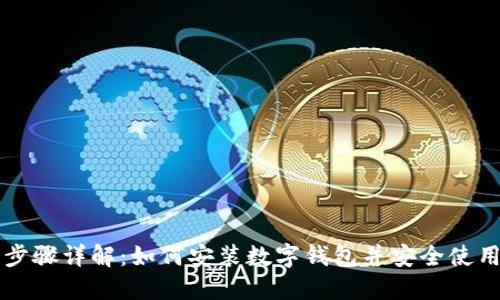 步骤详解：如何安装数字钱包并安全使用