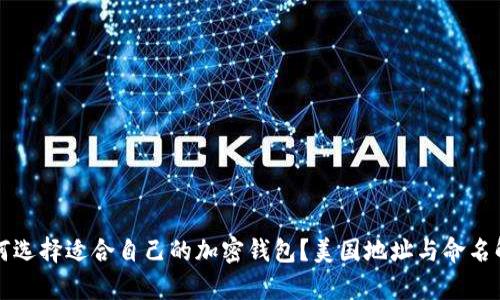如何选择适合自己的加密钱包？美国地址与命名解析