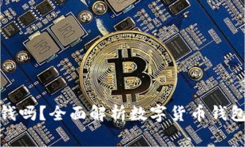 数字货币钱包扣钱吗？全面解析数字货币钱包费用与扣款机制