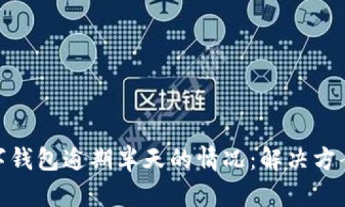 如何处理数字钱包逾期半天的情况：解决方案与预防措施