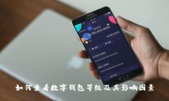 如何查看数字钱包等级及