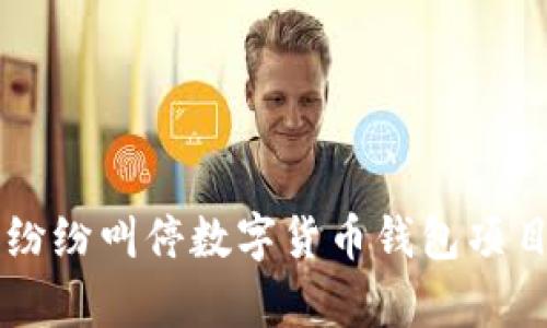 为什么各国纷纷叫停数字货币钱包项目的背后真相