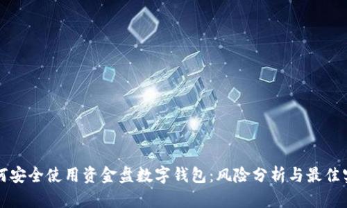 如何安全使用资金盘数字钱包：风险分析与最佳实践