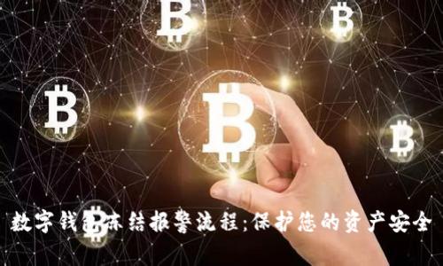 数字钱包冻结报警流程：保护您的资产安全