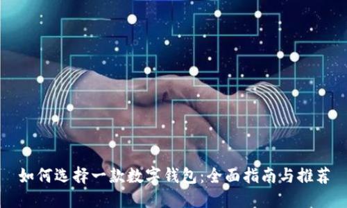 如何选择一款数字钱包：全面指南与推荐