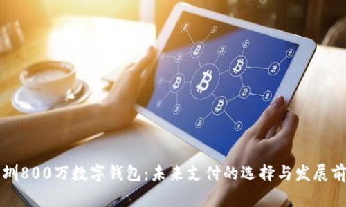 深圳800万数字钱包：未来支付的选择与发展前景
