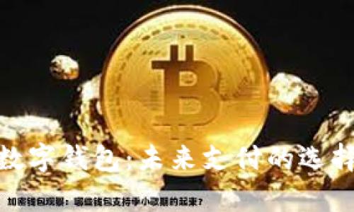 深圳800万数字钱包：未来支付的选择与发展前景