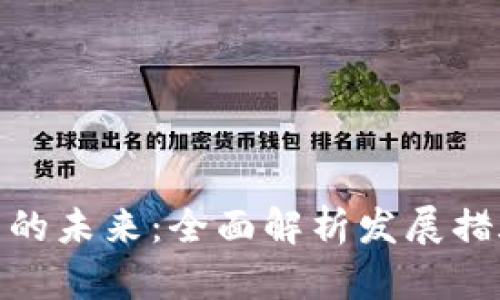 数字钱包的未来：全面解析发展措施与策略