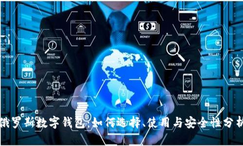 俄罗斯数字钱包：如何选择、使用与安全性分析
