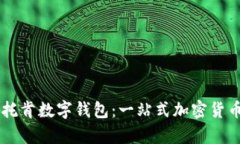 深入分析托肯数字钱包：