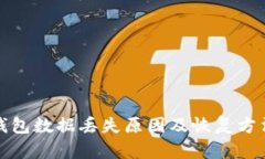 数字钱包数据丢失原因及