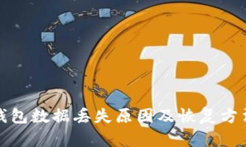 数字钱包数据丢失原因及恢复方法详解