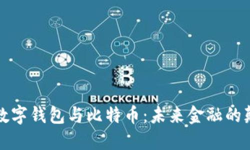 全球数字钱包与比特币：未来金融的颠覆者