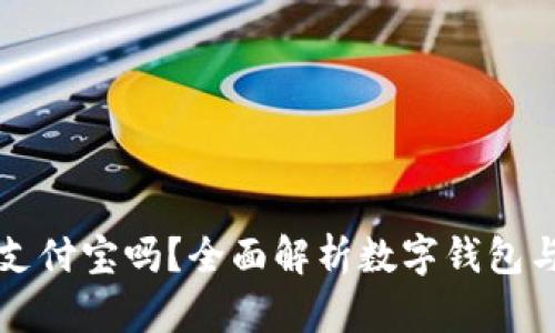 数字钱包支持支付宝吗？全面解析数字钱包与支付宝的关系