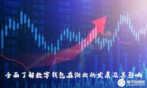 全面了解数字钱包在湖北的发展及其影响