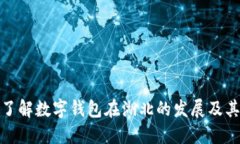 全面了解数字钱包在湖北