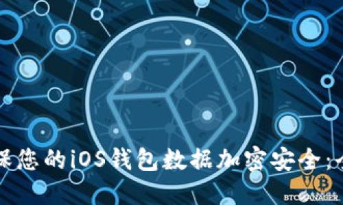 如何确保您的iOS钱包数据加密安全：全面指南